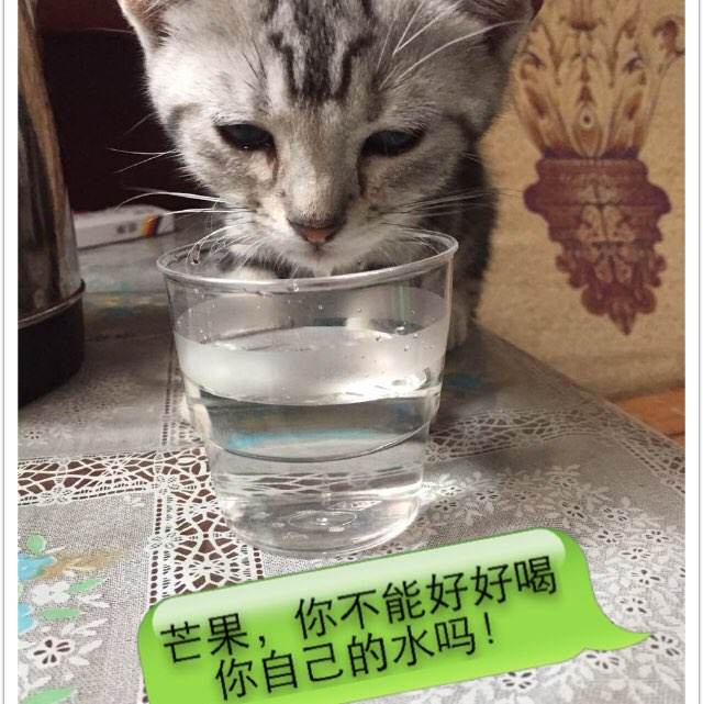 哪里可以制作南加州先锋大学文凭毕业证